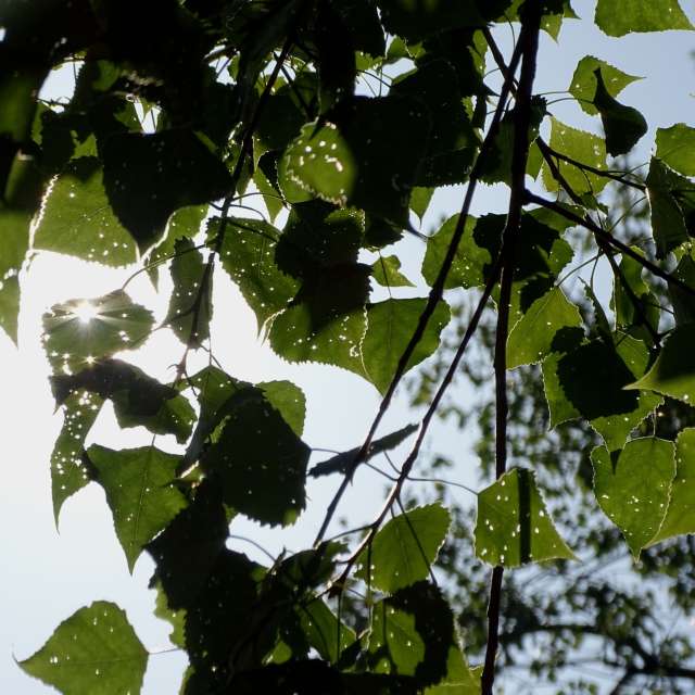 Fotos Clima. Previsões do tempo com lindas fotos de Vasek325 em Praha 12