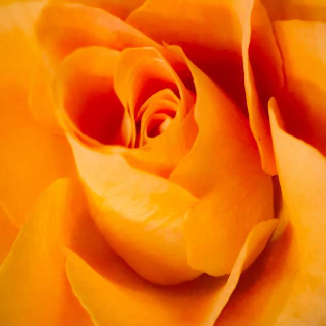 Wettervorhersagen mit schönen Fotos von Terraza74