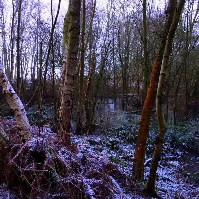 Previsões do tempo com lindas fotos de DarekCho