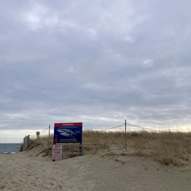 Fotos del Nublado. Pronósticos del tiempo con hermosas fotos de prairiesands en Cape Cod