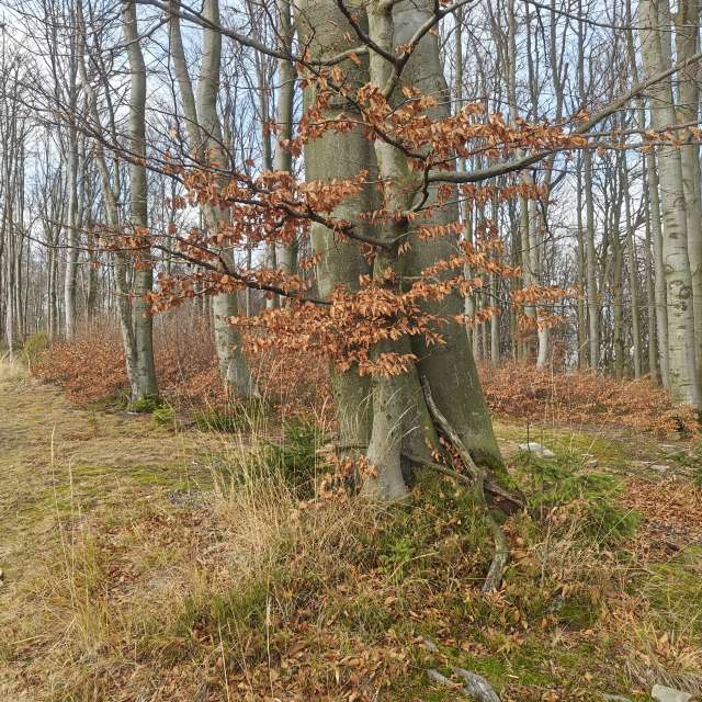 Weather forecasts with beautiful photos by zjabri