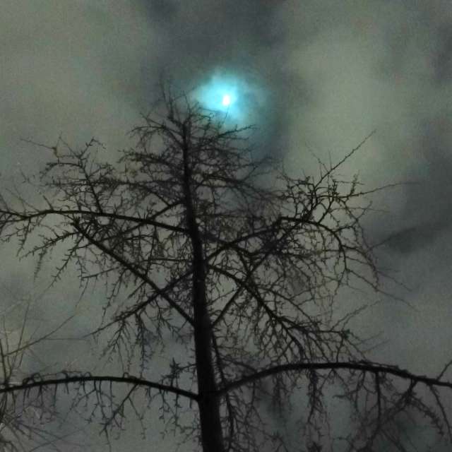 Fotos del Frente. Pronósticos del tiempo con hermosas fotos de YanBog en București