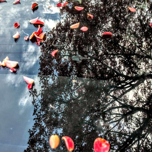 奇科的Parking lot. 天气预报，带Ghostroku精美的照片照片