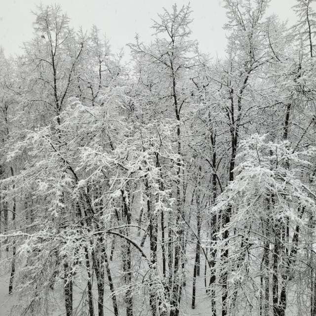 天气预报，带PaulKu精美的照片