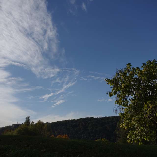 Fotos Verde. Previsões do tempo com lindas fotos de Vasek325 em Praha 12