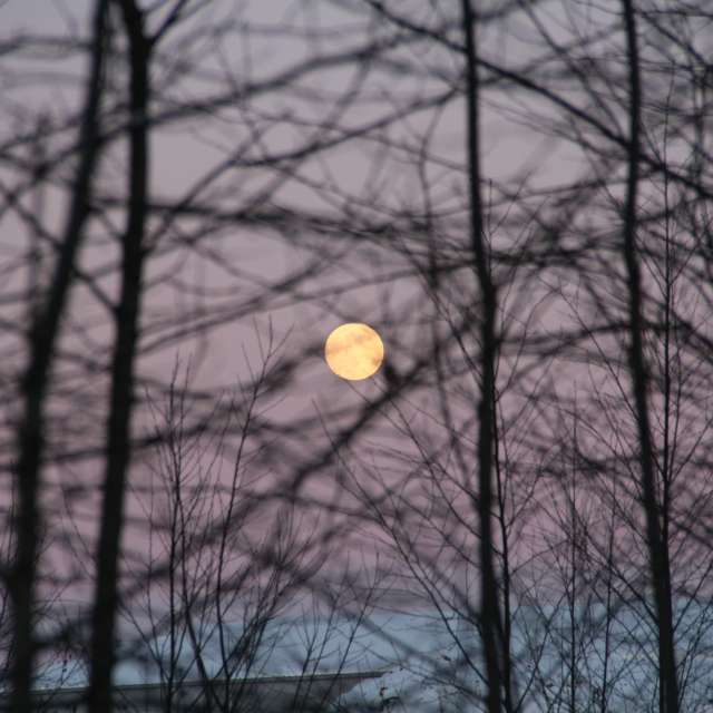 Weather forecasts with beautiful photos by urubu