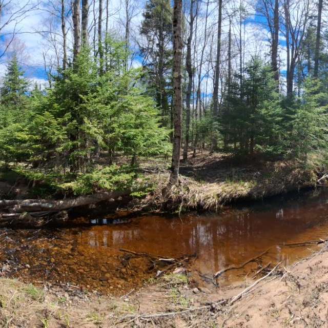 Weather forecasts with beautiful photos by NorthernMichiganBeauty