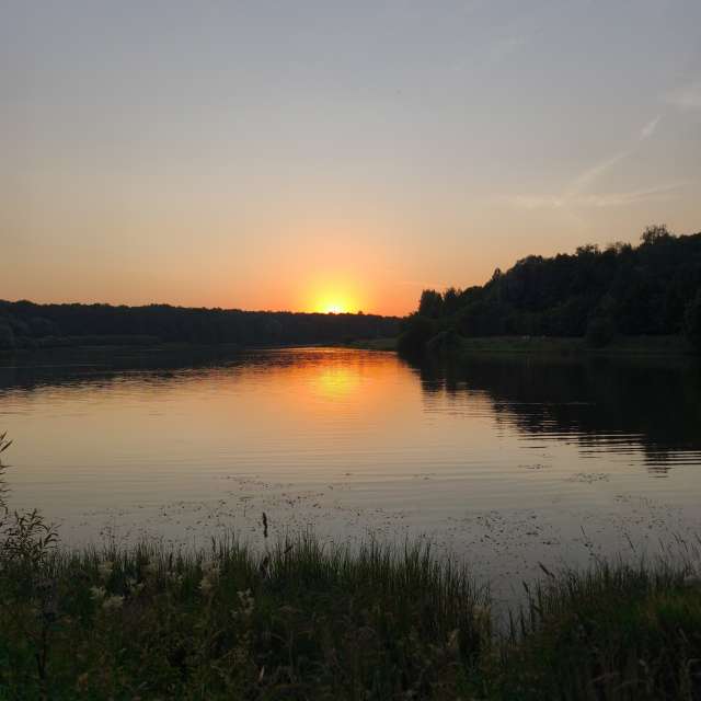 Herd. Weather forecasts with beautiful photos by Amanda_and_Valdemar_Che Photos in Izmaylovo District