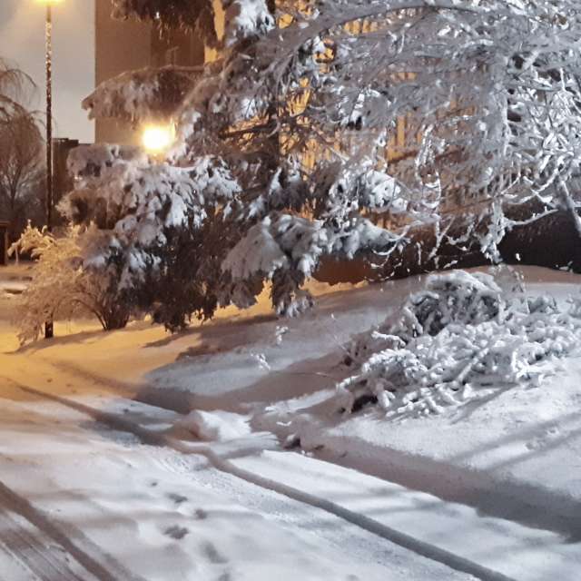 Previsões do tempo com lindas fotos de tipgol