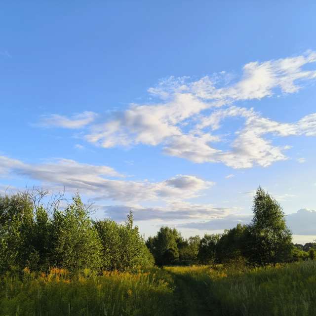 Blue. Weather forecasts with beautiful photos by Aleksei Photos in Tula