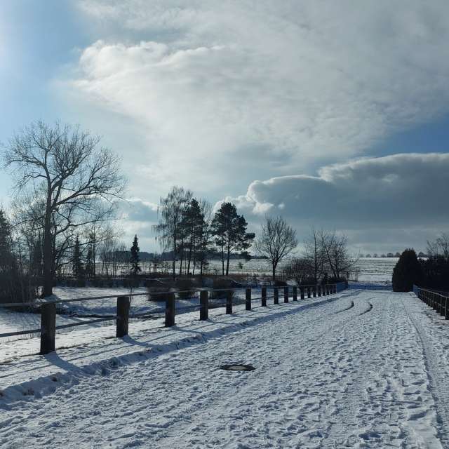 天气预报，带MaLou精美的照片