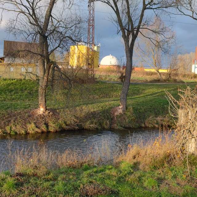 Grassy. Weather forecasts with beautiful photos by drollted Photos in World