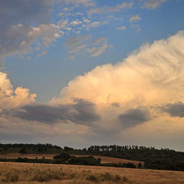 Wettervorhersagen mit schönen Fotos von ILIE