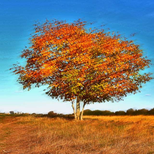 Прогнозы погоды с чудесными фотографиями, сделанными ConstantinR