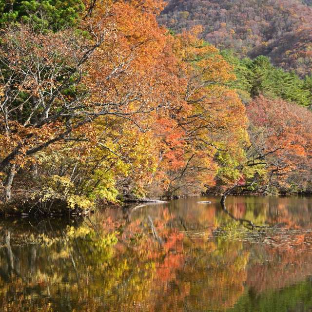 秋. Weather forecasts with beautiful photos by yoshy Photos in World