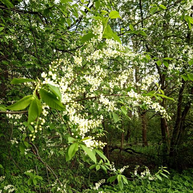 Weather Photos in World. Weather forecasts with beautiful photos by Amanda_and_Valdemar_Che