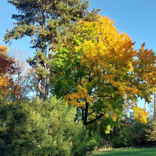 Previsões do tempo com lindas fotos de MaLou