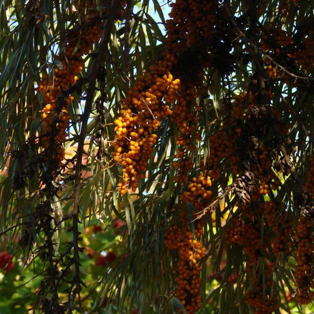 Stop. Weather forecasts with beautiful photos by Михаил Гавриков Photos in Kharkiv