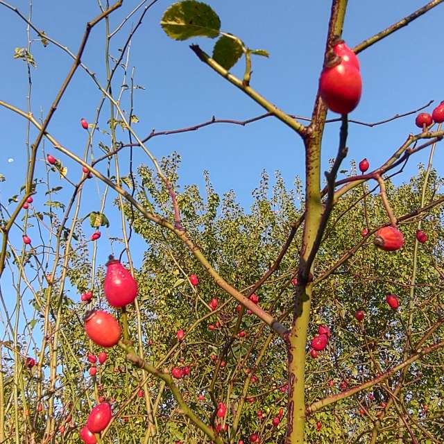 Previsões do tempo com lindas fotos de drollted