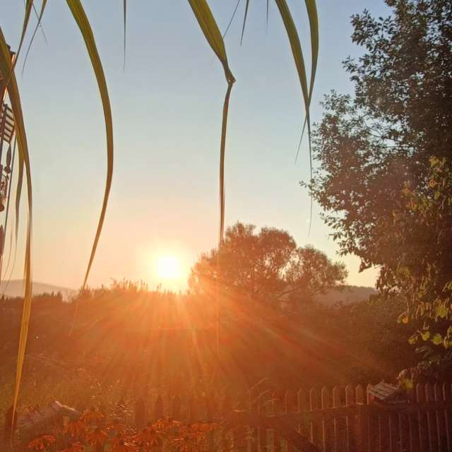 Previsões do tempo com lindas fotos de Muschelschloss