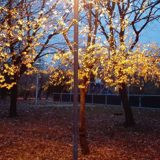 Fotos del Parque. Pronósticos del tiempo con hermosas fotos de anca7687 en Bucharest