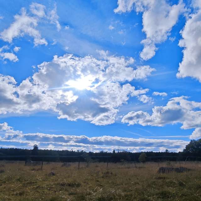 Weather forecasts with beautiful photos by uppsalaunge