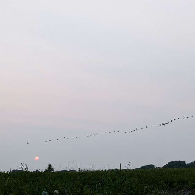 Weather forecasts with beautiful photos by Karp88