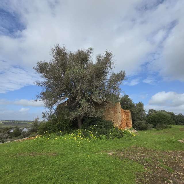 Weather forecasts with beautiful photos by Brtd