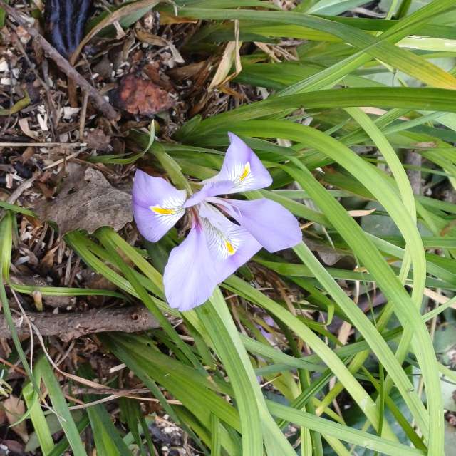 Brown. Weather forecasts with beautiful photos by Zaza Photos in World