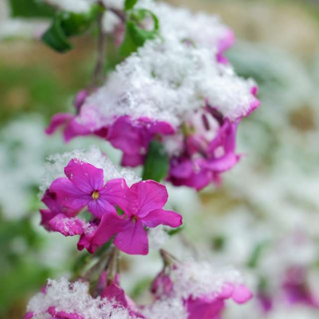 Food. Weather forecasts with beautiful photos by hejpetrpepa Photos in Plzeň Region