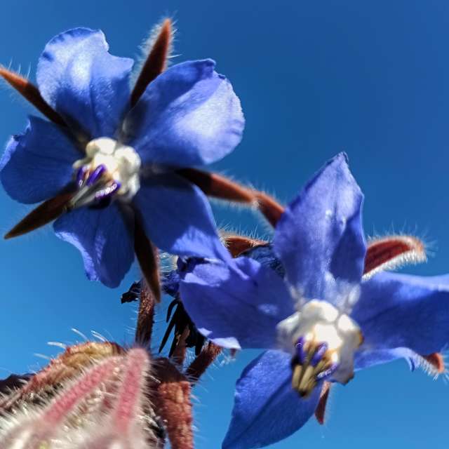 Прогнозы погоды с чудесными фотографиями, сделанными RUMBASTER