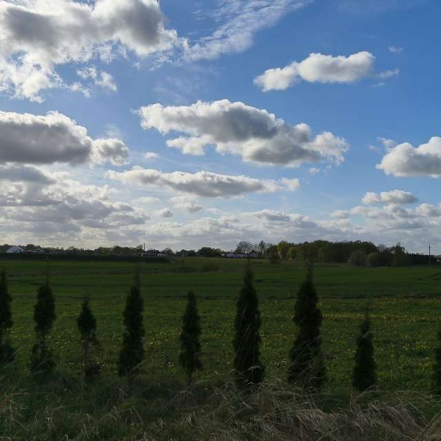 Fliegend. Wettervorhersagen mit schönen Fotos von Valiukas Fotos Litauen