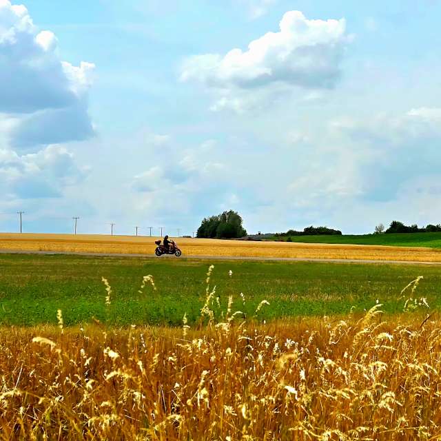 Essen. Wettervorhersagen mit schönen Fotos von Hela Fotos Bayern