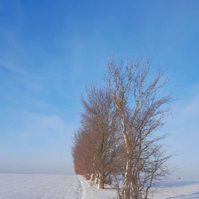 Weather forecasts with beautiful photos by Ute-Eleonore