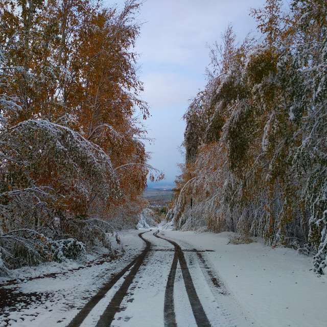 Pronósticos del tiempo con hermosas fotos de Vladislav Far East