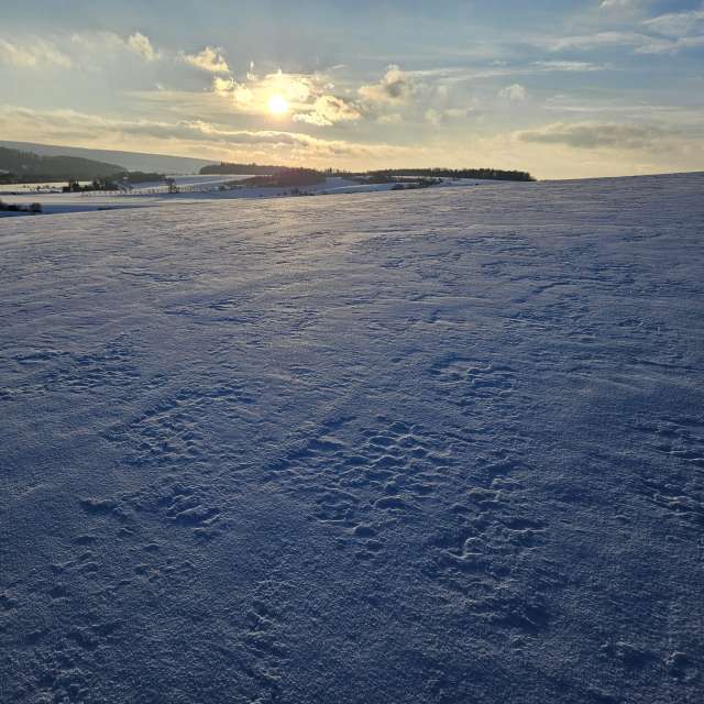 Cold. Weather forecasts with beautiful photos by PythonOfSoul Photos in World