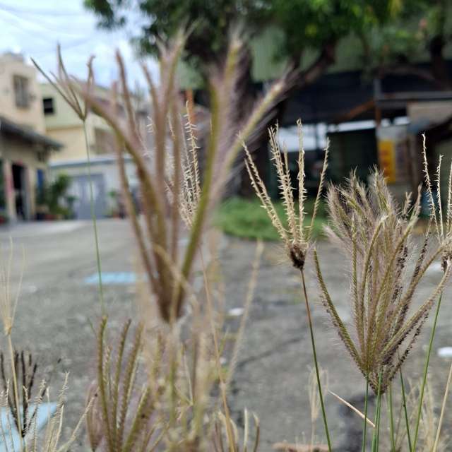 Fire. Weather forecasts with beautiful photos by Wen-ya Huang Photos in Kaohsiung City
