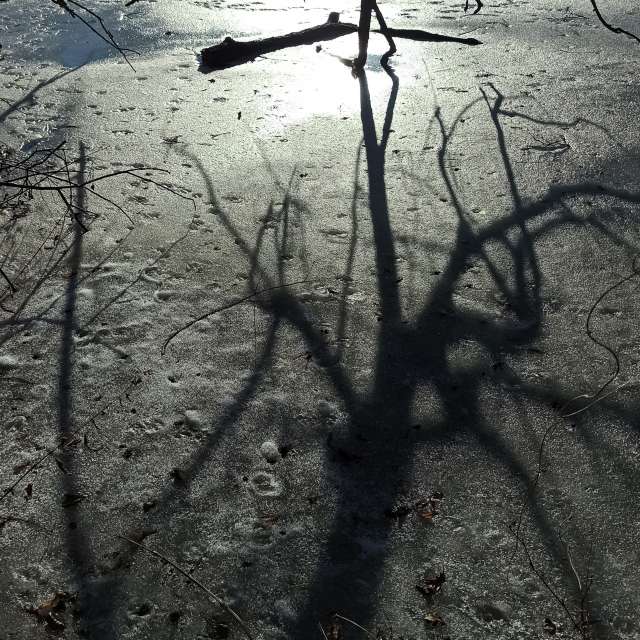 Tom44の美しい写真による天気予報