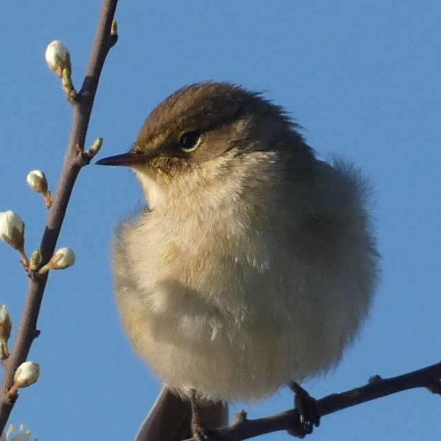 Фотографии Погоды в Мир. Прогнозы погоды с чудесными фотографиями, сделанными fwerner