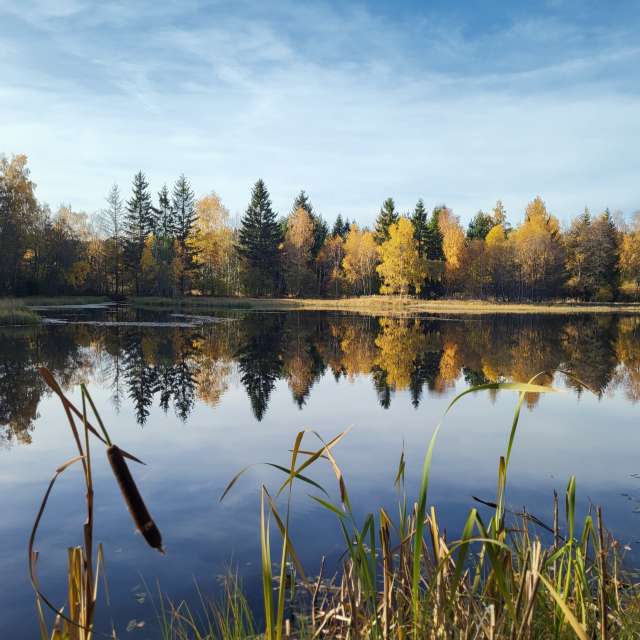 Pond. Weather forecasts with beautiful photos by hejpetrpepa Photos in Plzeň Region