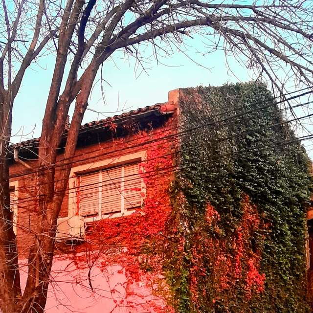 Front. Weather forecasts with beautiful photos by SEBASTIAN14 Photos in Olivos