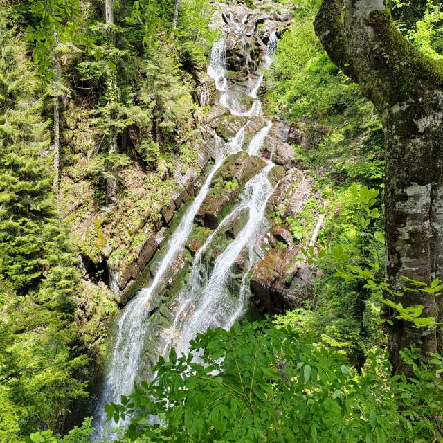 Path. Weather forecasts with beautiful photos by Albert_Smelovtsev Photos in Roza Khutor