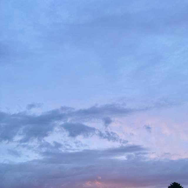 Fotos del Pasto. Pronósticos del tiempo con hermosas fotos de prairiesands en Cape Cod