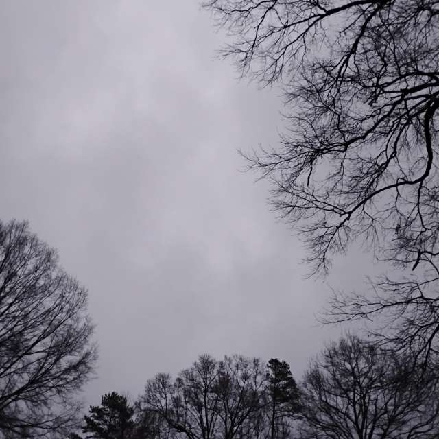 Прогнозы погоды с чудесными фотографиями, сделанными Awcat