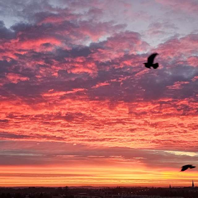 Sun. Weather forecasts with beautiful photos by Thinner1000 Photos in World