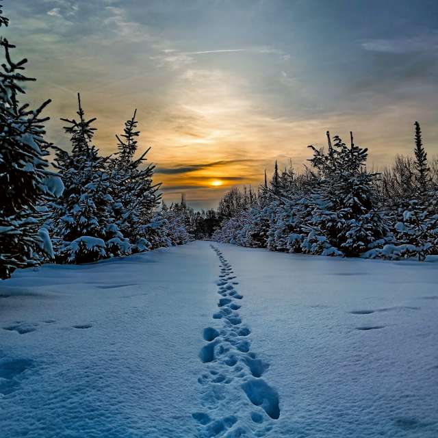 Pronósticos del tiempo con hermosas fotos de fruta