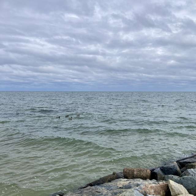 Fotos del Grande. Pronósticos del tiempo con hermosas fotos de prairiesands en Cape Cod