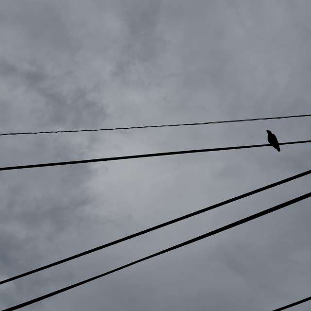 Lit. Weather forecasts with beautiful photos by Wen-ya Huang Photos in Kaohsiung City