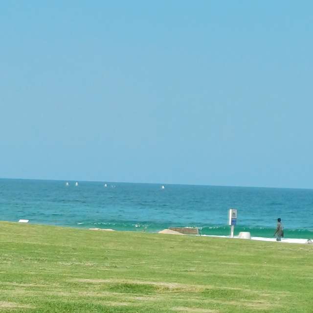 天气预报，带Zaza精美的照片