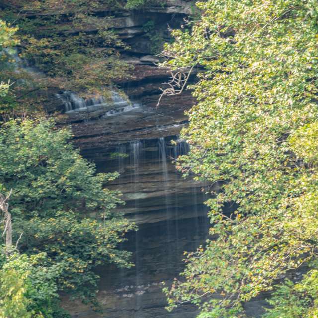Forest. Weather forecasts with beautiful photos by krantzjh Photos in Clifty Falls State Park
